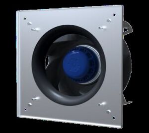 BLAUBERG GL-B220B-2E-A01-01