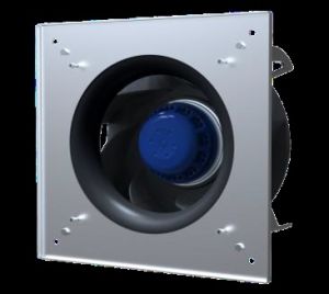 BLAUBERG GL-B220B-2E-B01-01